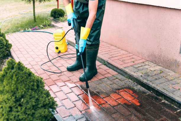 Best Affordable Power Washing  in Altavista, VA