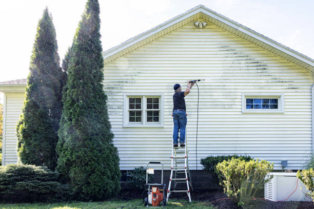 Professional Pressure Washing in Altavista, VA